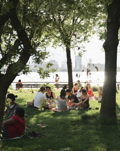 Why Making Friends as an Adult Is Hard - And What We Can Do About It